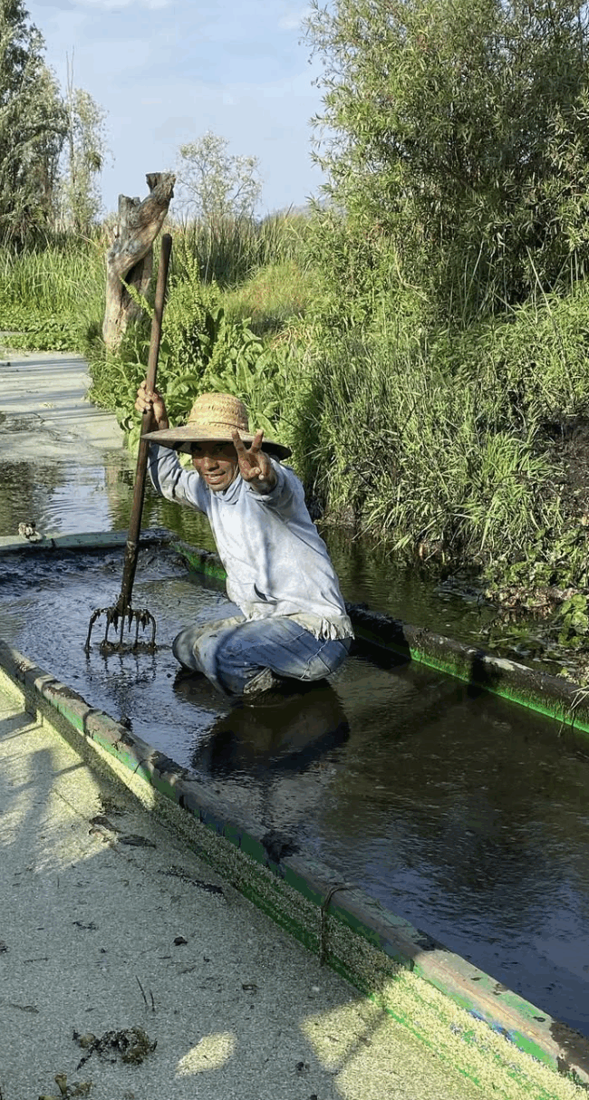 La Remigia, Crescen de la Milpa, dos de los proyectos agroecológicos que se desarrollan en Xochimilco y Milpa Alta.